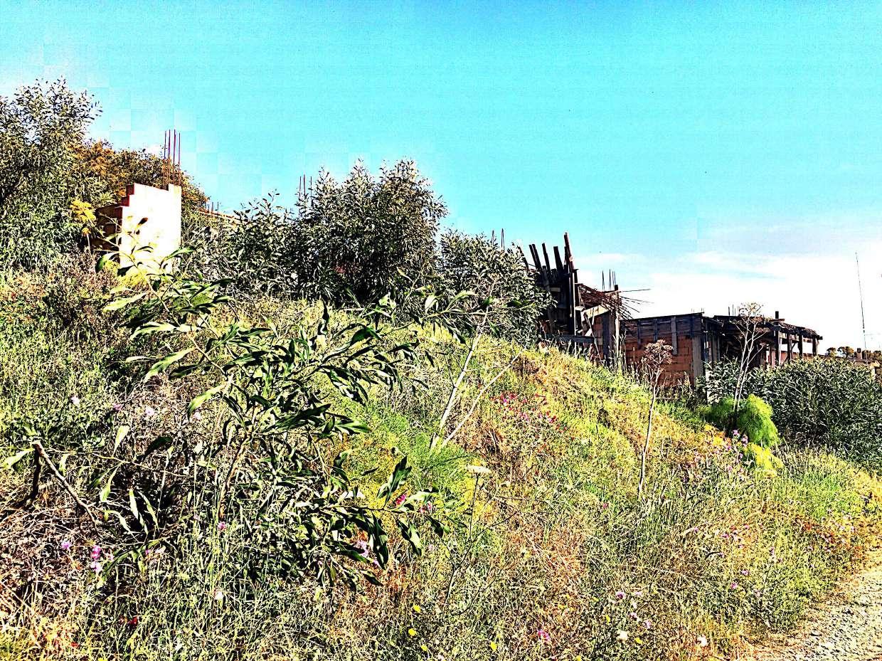 immobile terreno all'asta in Localita' Marinella - 89030 Bruzzano Zeffirio (RC) - 3