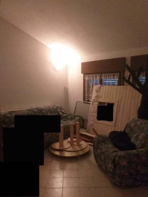 immobile appartamento all'asta in Via Eridania, 137 - 45030 Occhiobello (RO) - 1