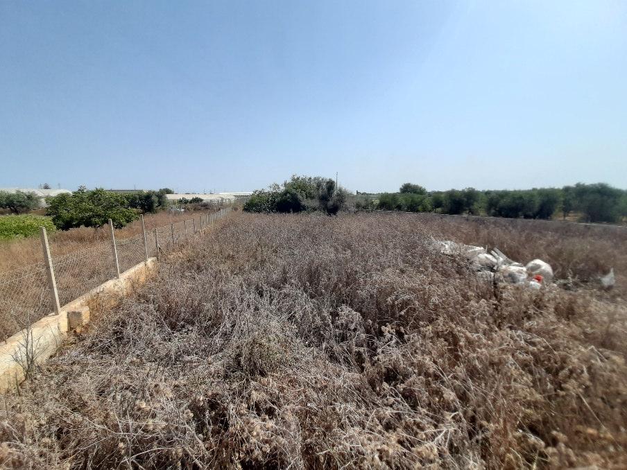 immobile casa singola all'asta in CONTRADA AMABILINA Marsala (TP) - 4