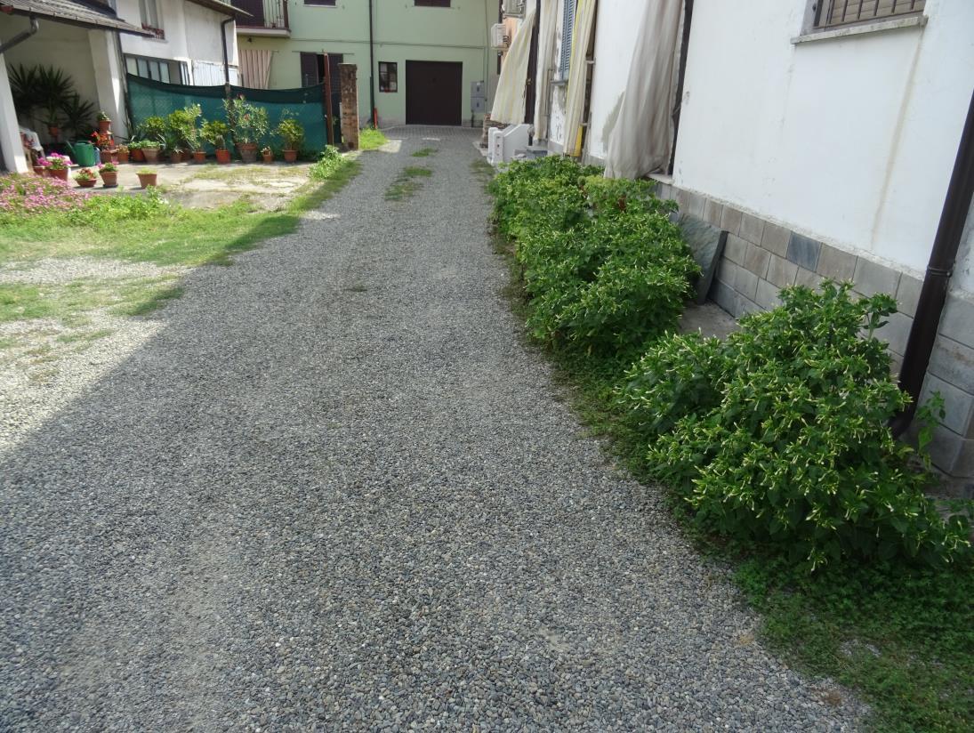 immobile appartamento all'asta in Via Agostino Depretis 104 - 27040 Pinarolo Po (PV) - 3