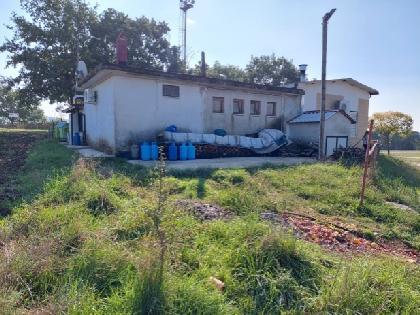 immobile attivita commerciale all'asta in località Canepino - 82026 Morcone (BN) - 5