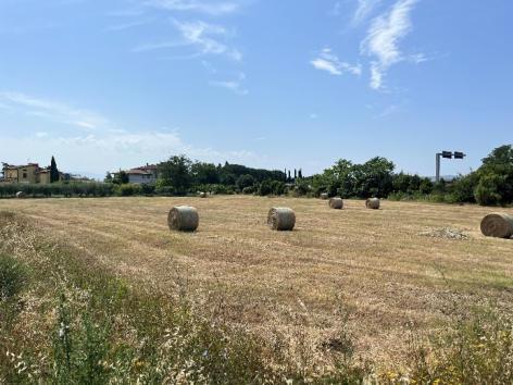 immobile terreno all'asta in Frazione Collestrada Perugia (PG) - 4