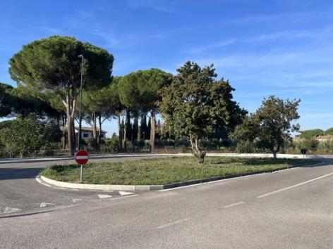 immobile terreno all'asta in Frazione di Petrignano Assisi (PG) - 3
