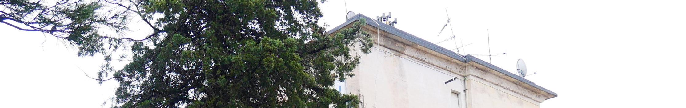 immobile appartamento all'asta in Borgo Sforzacosta 178 - 62100 Macerata (MC) - 5