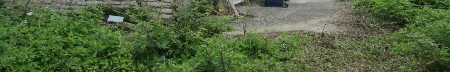 immobile appartamento all'asta in Localita' San Piero in tambis 3 - 61034 Fossombrone (PU) - 2