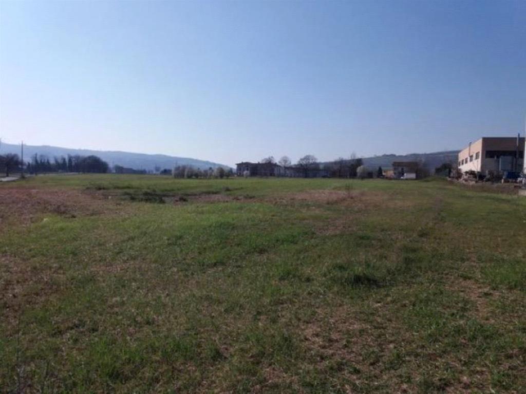 immobile terreno all'asta in Via Martiri della Romania, snc - frazCase Spadoni - 42020 Albinea (RE) - 1
