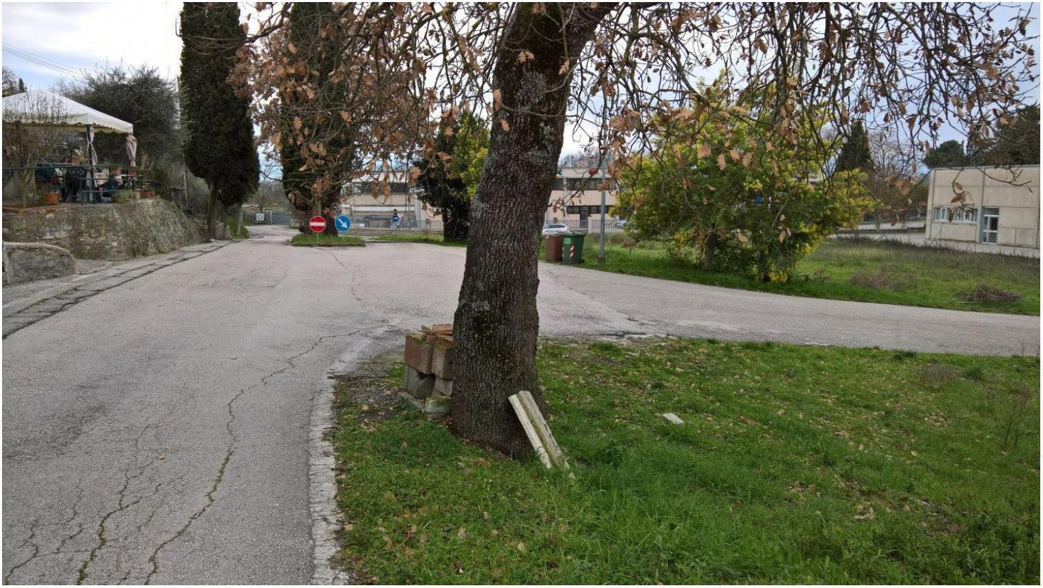 immobile terreno all'asta in Via S Vincenzo Ferrer - Zona Indle Ovest Passignano sul Trasimeno (PG) - 3