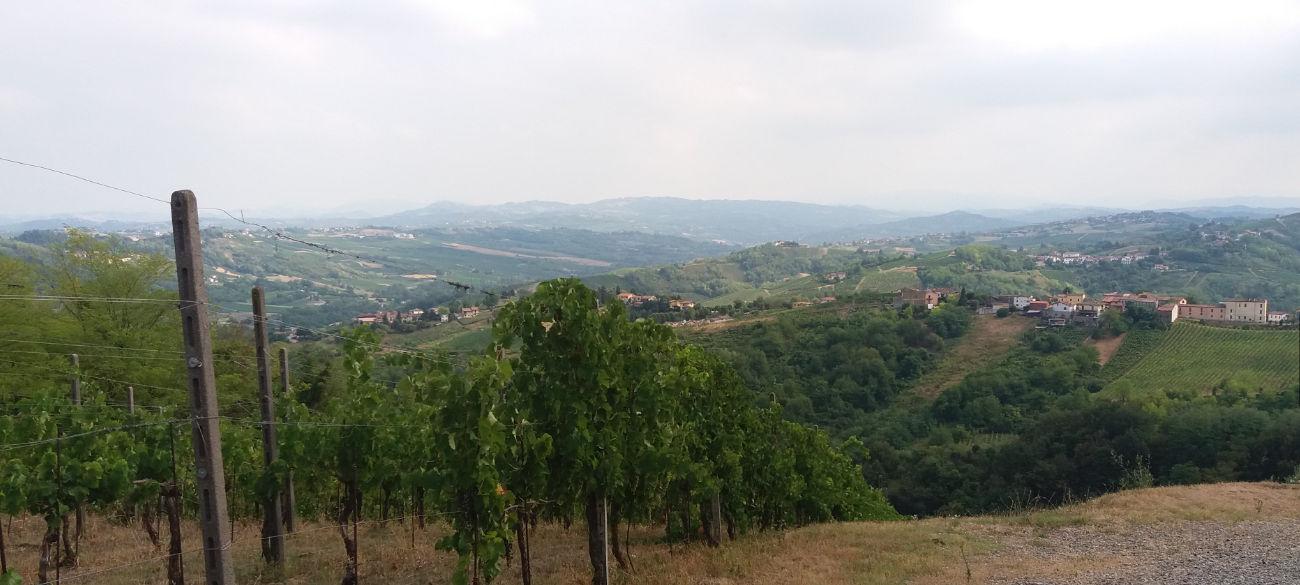 immobile rustico all'asta in Localita' Solinga 15 - 27049 Stradella (PV) - 3