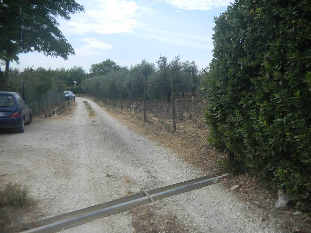 immobile terreno all'asta in Localita' Bosco ai Marzi snc - 48054 Barberino Tavarnelle (FI) - 1