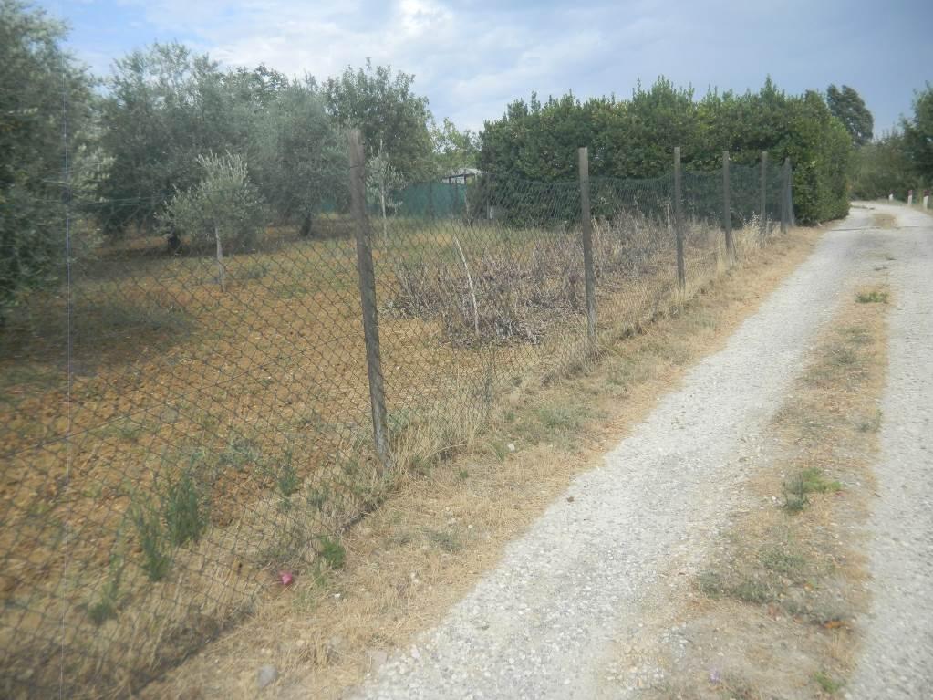 immobile terreno all'asta in Localita' Bosco ai Marzi snc - 48054 Barberino Tavarnelle (FI) - 2