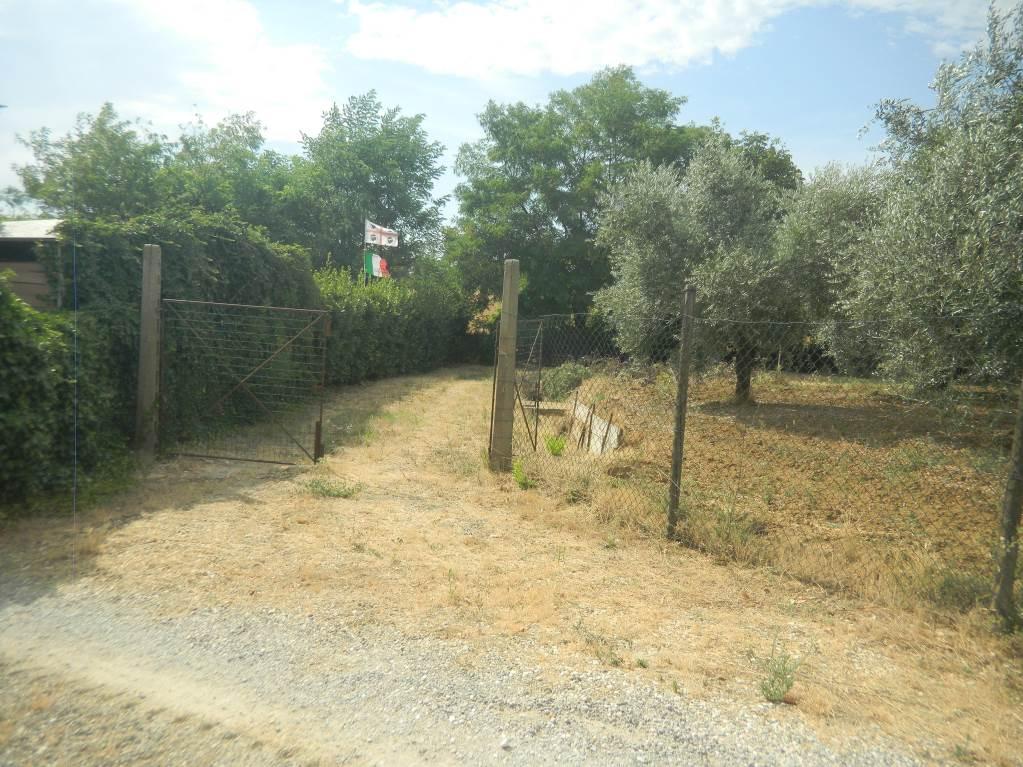 immobile terreno all'asta in Localita' Bosco ai Marzi snc - 48054 Barberino Tavarnelle (FI) - 3