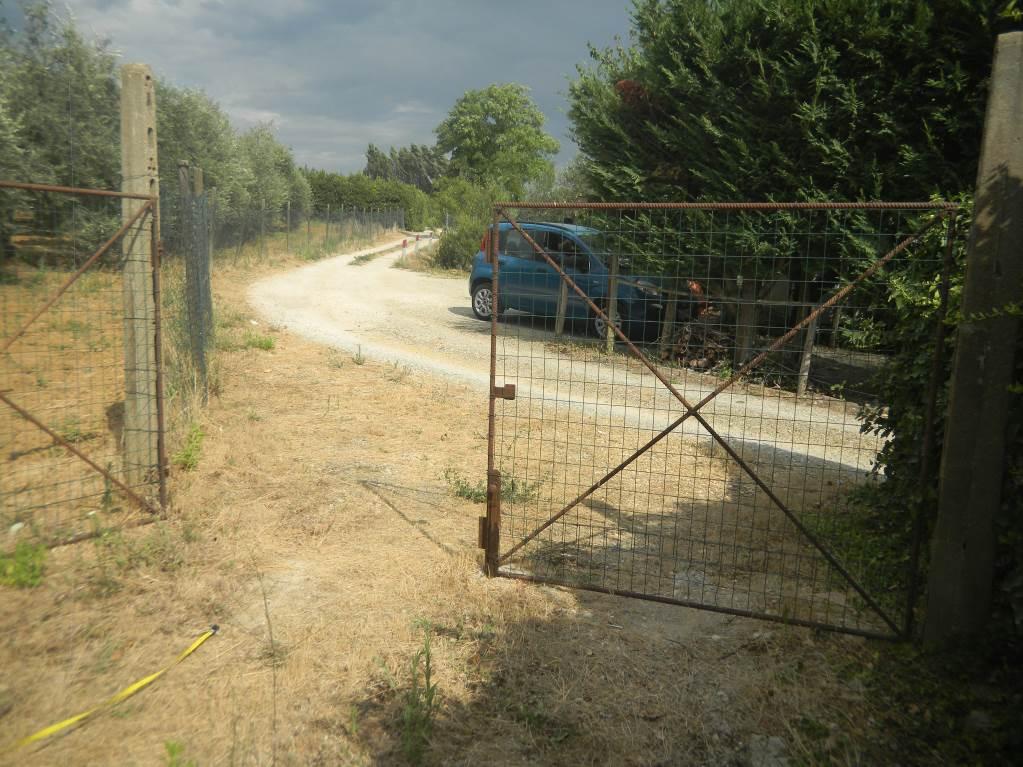 immobile terreno all'asta in Localita' Bosco ai Marzi snc - 48054 Barberino Tavarnelle (FI) - 4