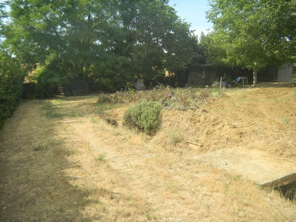 immobile terreno all'asta in Localita' Bosco ai Marzi snc - 48054 Barberino Tavarnelle (FI) - 5
