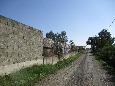 immobile terreno all'asta in Frazione Grava, Via Pavesa snc - 15047 Alluvioni Piovera (AL) - 1