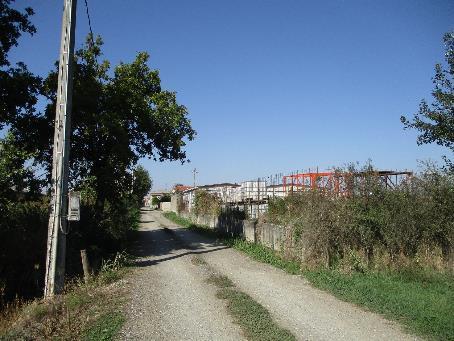 immobile terreno all'asta in Frazione Grava, Via Pavesa snc - 15047 Alluvioni Piovera (AL) - 3