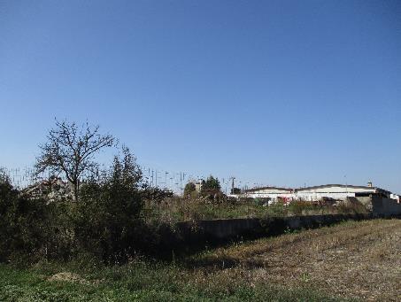 immobile terreno all'asta in Frazione Grava, Via Pavesa snc - 15047 Alluvioni Piovera (AL) - 5