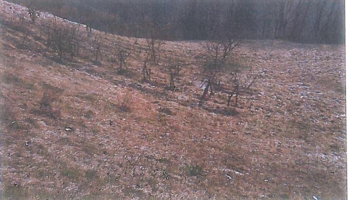 immobile terreno all'asta in Via Cantoni - 24020 Oneta (BG) - 1
