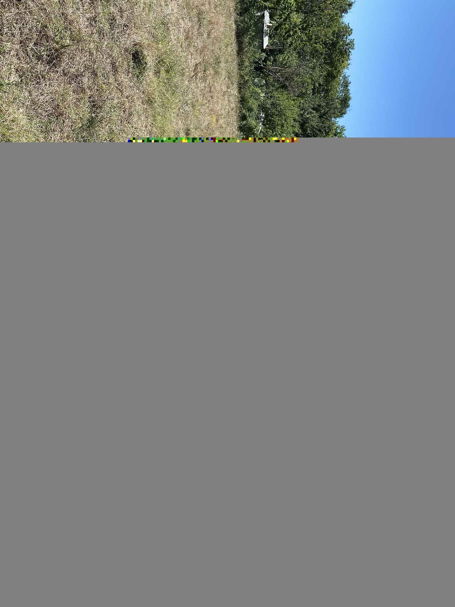 immobile appartamento all'asta in VIA SANT'ARCANGELO, SNC - 04010 Maenza (LT) - 3
