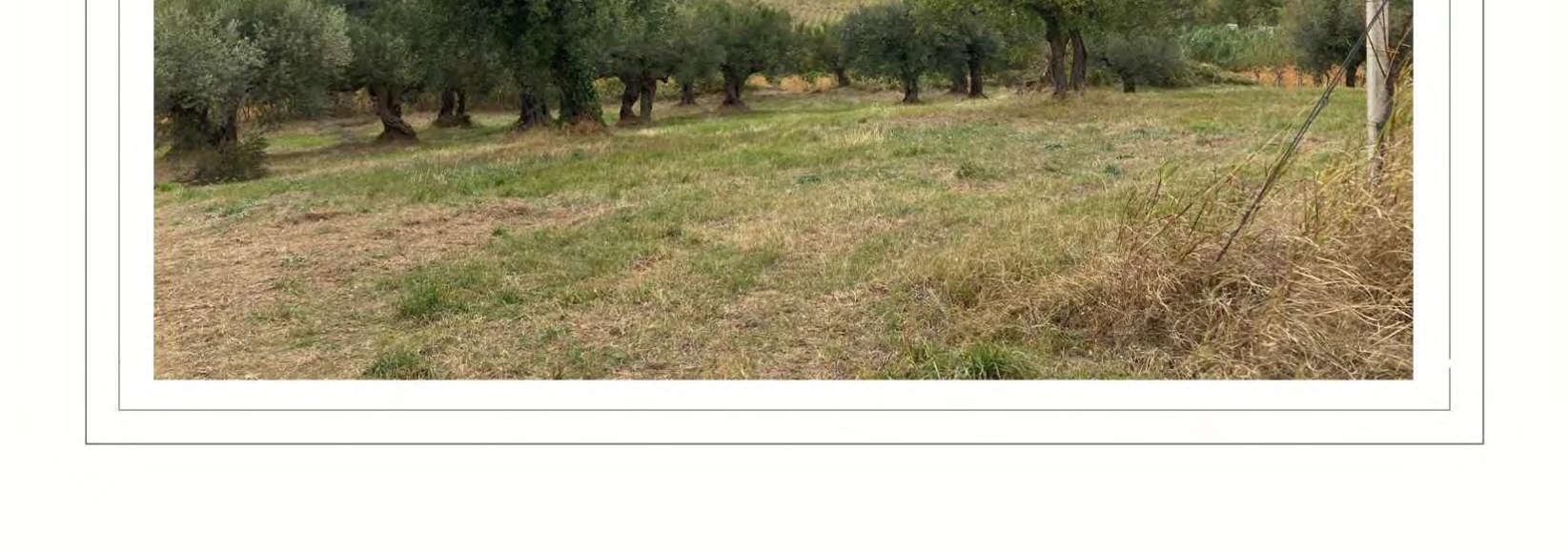 immobile terreno all'asta in Via  - 66010 Vacri (CH) - 4