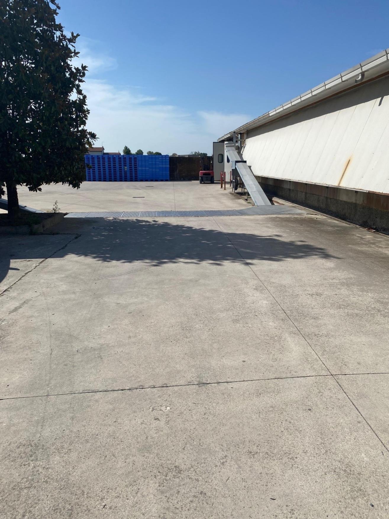 immobile attivita commerciale all'asta in Via Verona 14, 16 e 18 - 30024 Musile di Piave (VE) - 2