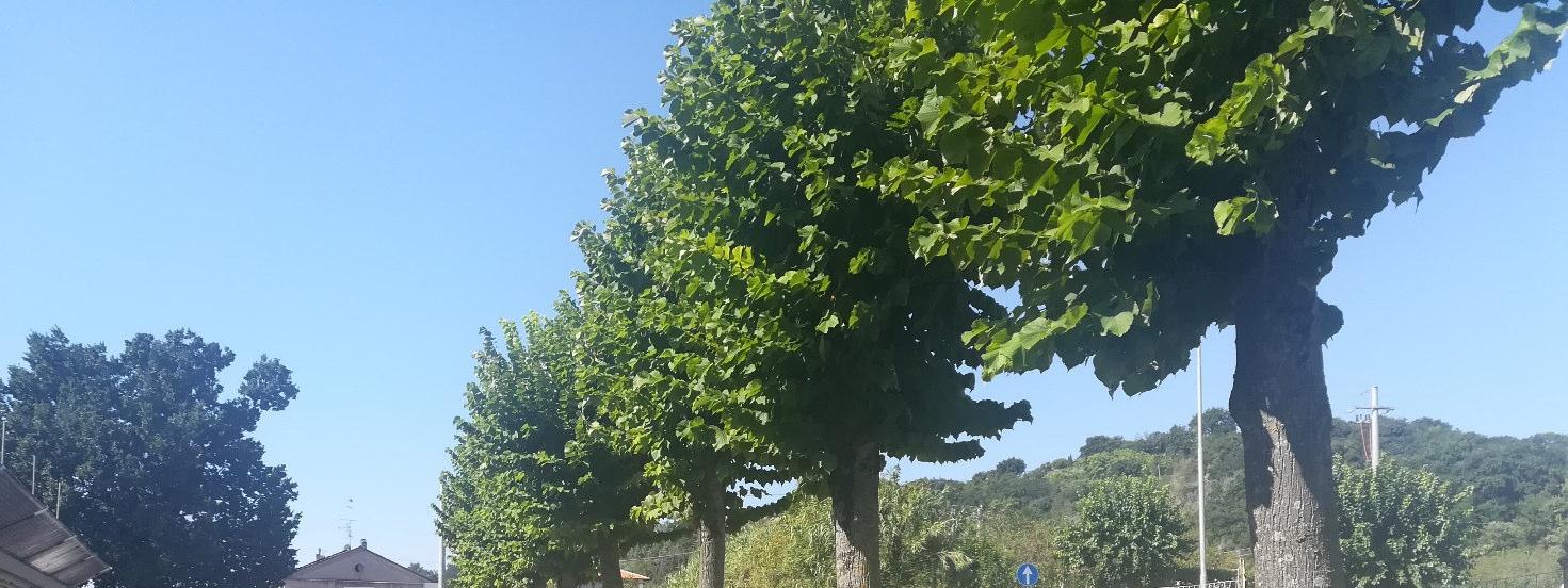 immobile attivita commerciale all'asta in Via Flaminia 59 - 61032 Fano (PU) - 5