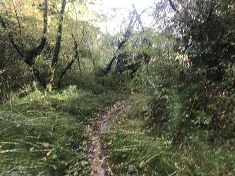 immobile terreno all'asta in Frazione Montemelino - 06063 Magione (PG) - 2