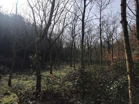 immobile terreno all'asta in Frazione Montemelino - 06063 Magione (PG) - 5