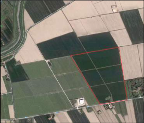immobile terreno all'asta in Via Provanone - 40014 Crevalcore (BO) - 4