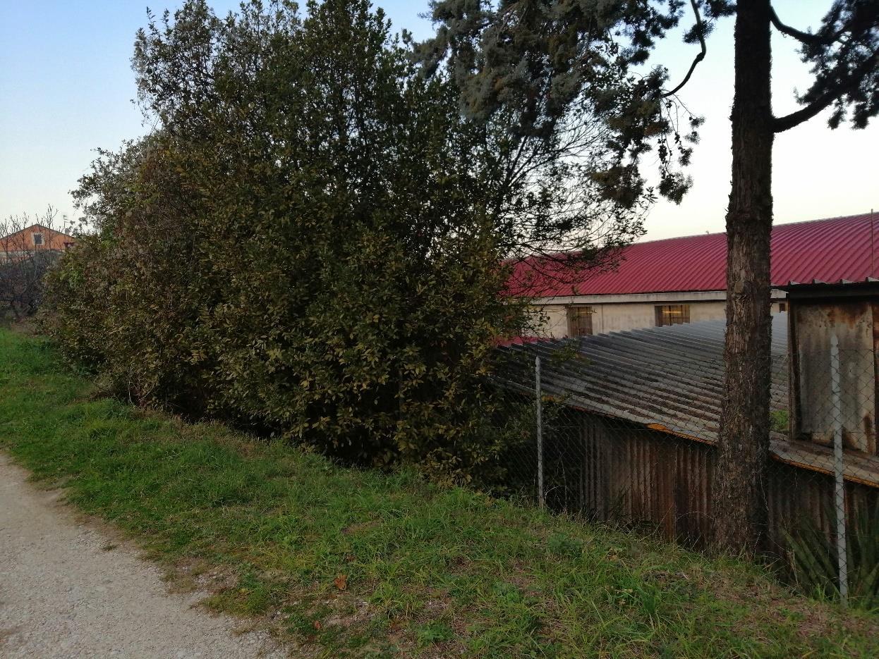 immobile terreno all'asta in località Marina Palmense - 63900 Fermo (FM) - 2