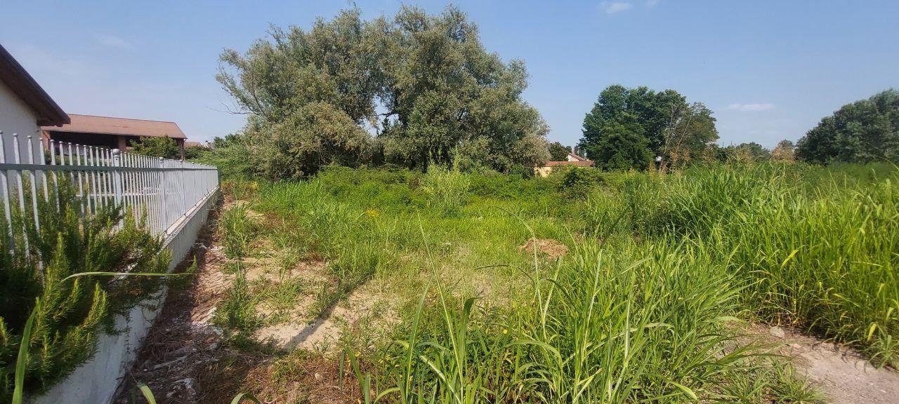 immobile terreno all'asta in Via Costanzana n 4 Asigliano Vercellese (VC) - 5