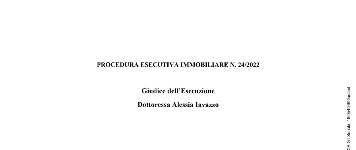 immobile terreno all'asta in Contrada Balzano - 88025 Maida (CZ) - 2