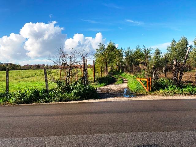 immobile terreno all'asta in traversa di via San Salvatore - 81032 Carinaro (CE) - 5