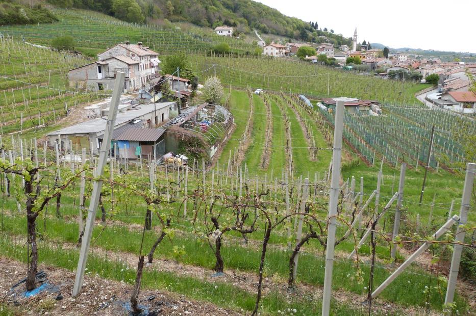 immobile magazzino all'asta in Località San Vito - 31049 Valdobbiadene (TV) - 1