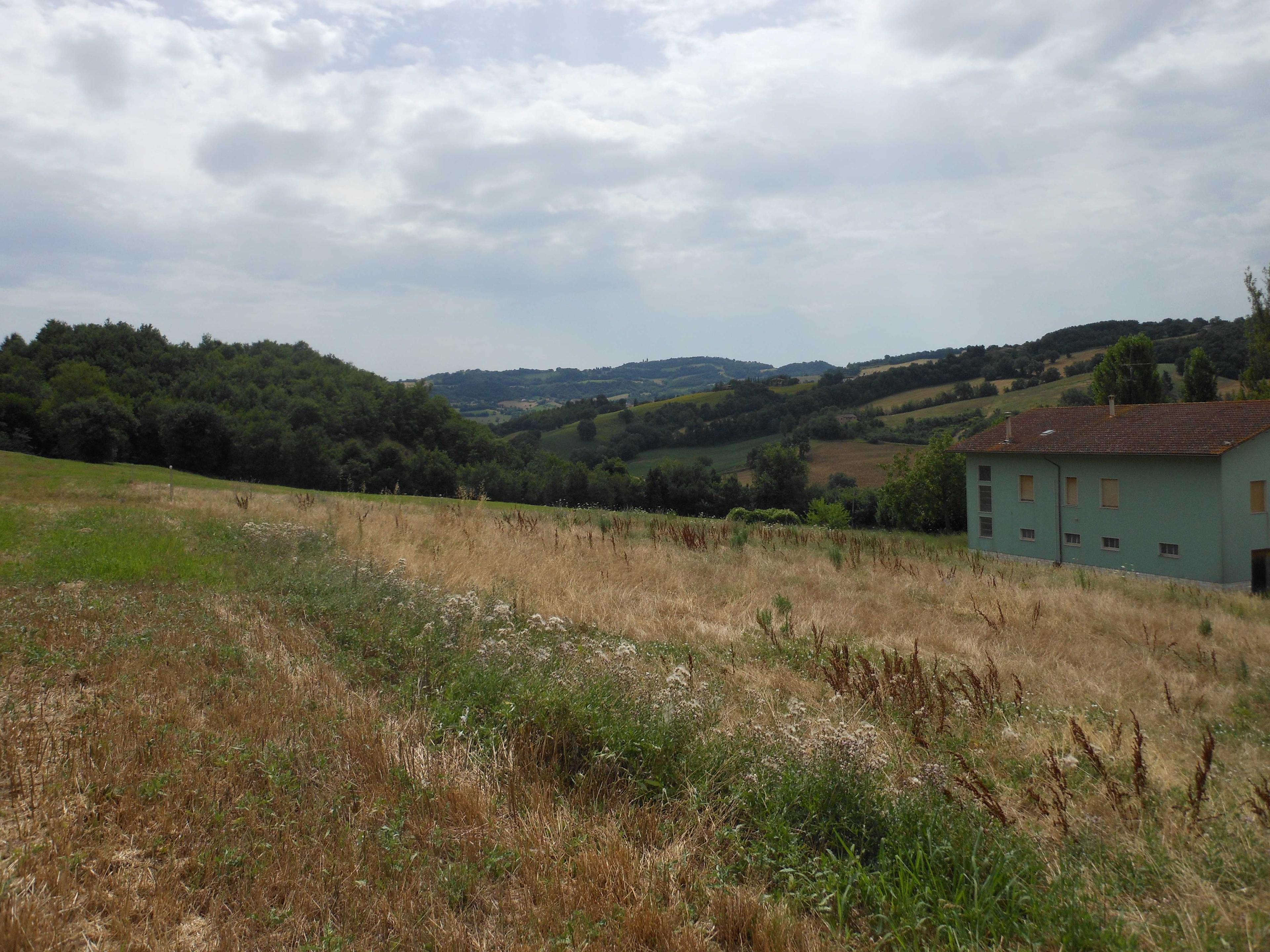 immobile terreno all'asta in località Colvenale - 62020 Camporotondo di Fiastrone (MC) - 3
