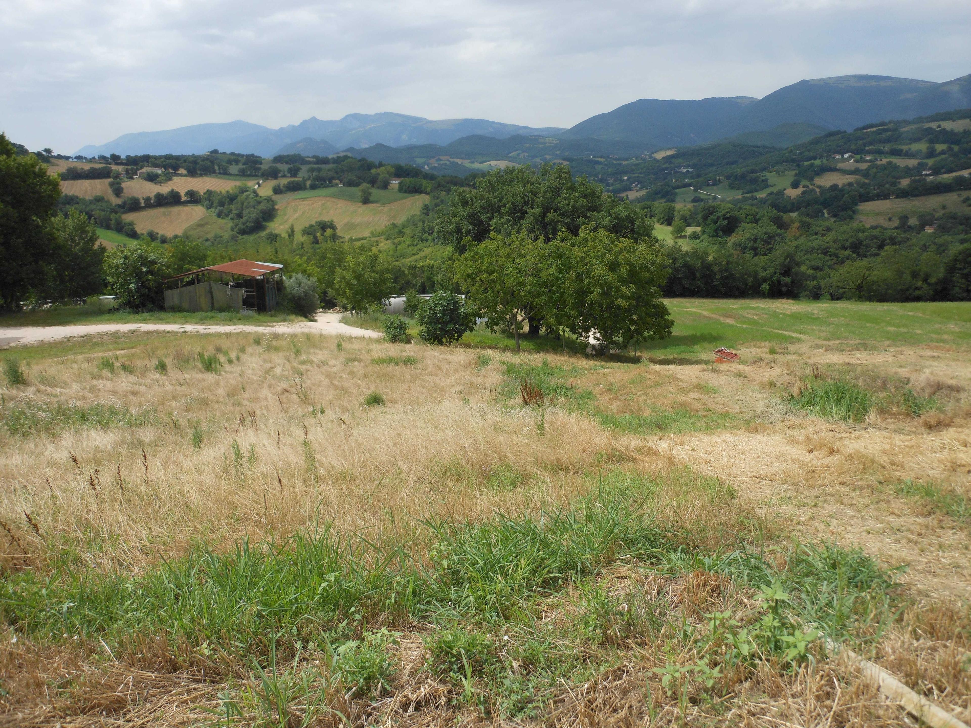 immobile terreno all'asta in località Colvenale - 62020 Camporotondo di Fiastrone (MC) - 4