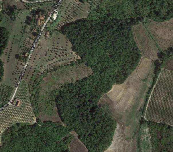 immobile terreno all'asta in Strada vicinale San Romano e Casone - 50025 Montespertoli (FI) - 1