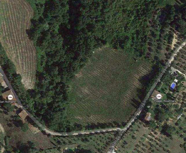 immobile terreno all'asta in Strada vicinale San Romano e Casone - 50025 Montespertoli (FI) - 2