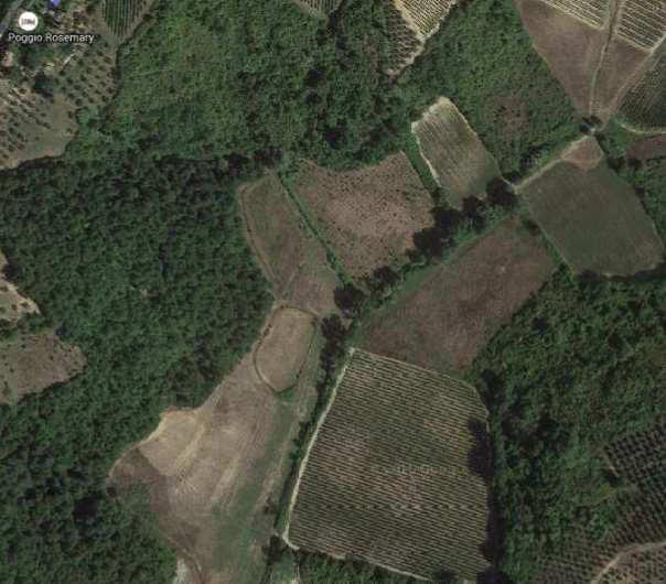 immobile terreno all'asta in Strada vicinale San Romano e Casone - 50025 Montespertoli (FI) - 3