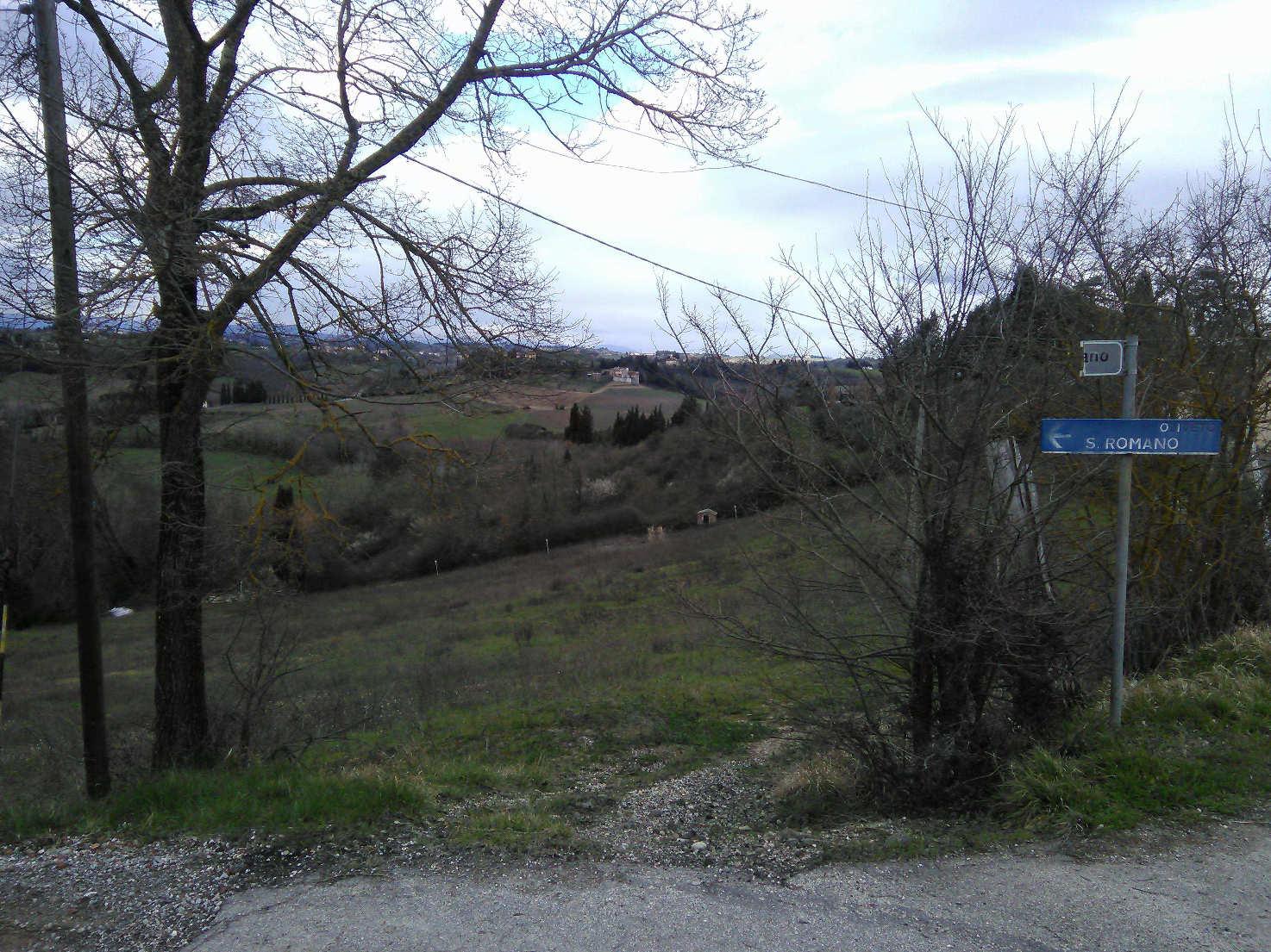 immobile terreno all'asta in Strada vicinale San Romano e Casone - 50025 Montespertoli (FI) - 4
