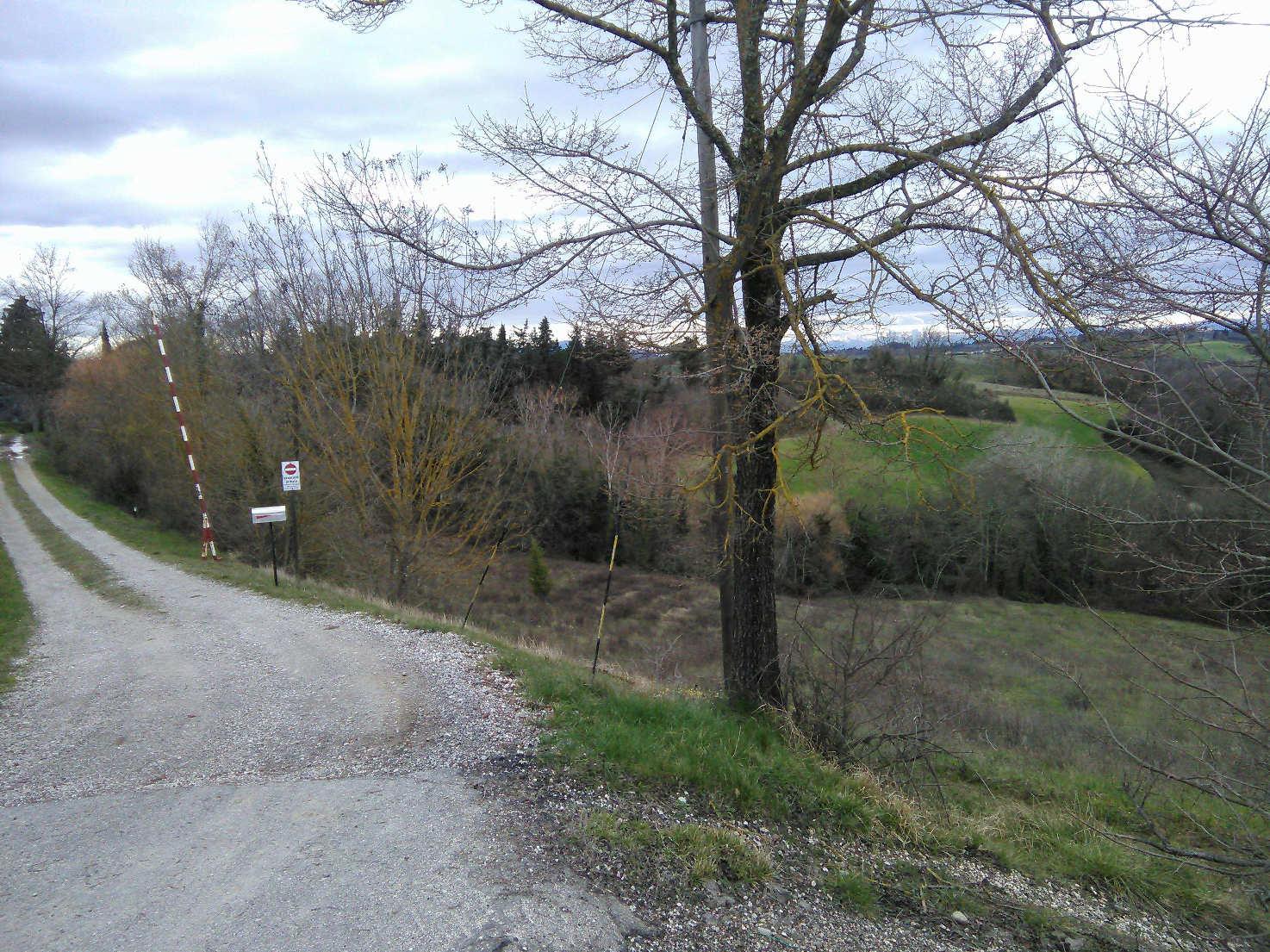 immobile terreno all'asta in Strada vicinale San Romano e Casone - 50025 Montespertoli (FI) - 5