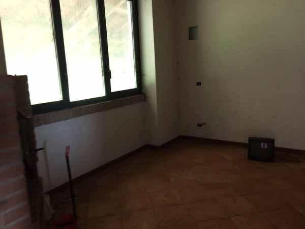 immobile appartamento all'asta in Busseto, Loc Frescarolo, Strada Due Ponti, 85 - 43011 Busseto (PR) - 5