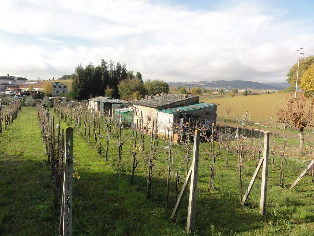 immobile negozio all'asta in FRAZIONE GUAZZINO - VIA TRASIMENO 10-12 - 53048 Sinalunga (SI) - 4