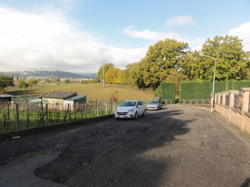 immobile negozio all'asta in FRAZIONE GUAZZINO - VIA TRASIMENO 10-12 - 53048 Sinalunga (SI) - 5