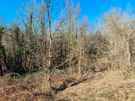 immobile terreno all'asta in Via Cantoniera (SP513R) - 42020 Vetto (RE) - 1