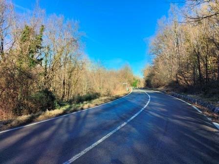 immobile terreno all'asta in Via Cantoniera (SP513R) - 42020 Vetto (RE) - 2