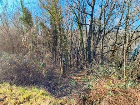 immobile terreno all'asta in Via Cantoniera (SP513R) - 42020 Vetto (RE) - 3