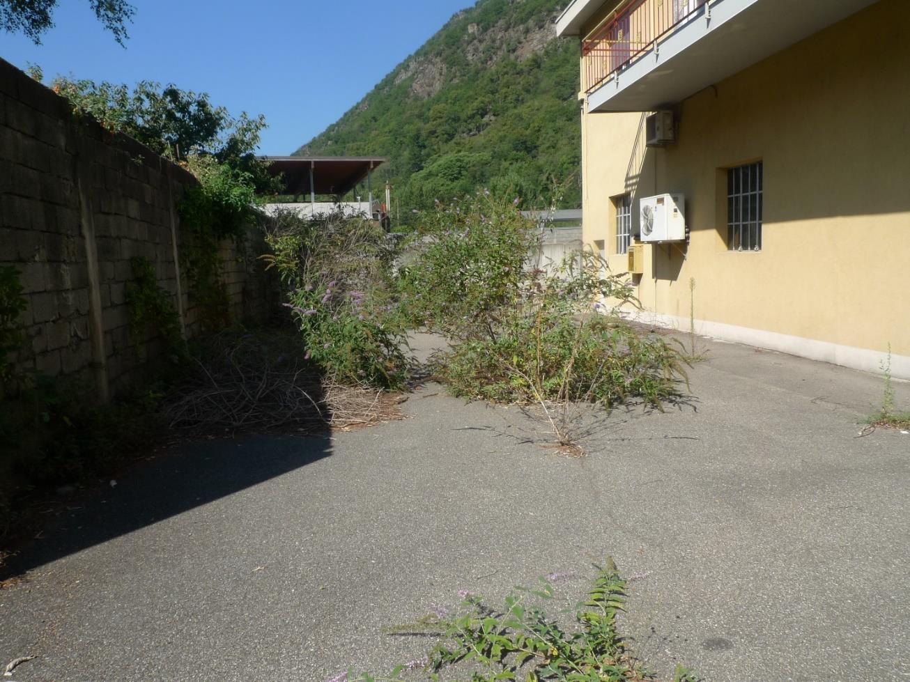 immobile terreno all'asta in Via Fortunato - 23018 Talamona (SO) - 3