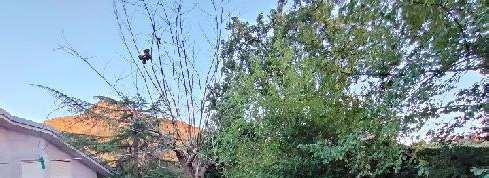 immobile villa all'asta in Via Fontanelle - 03032 Arce (FR) - 4