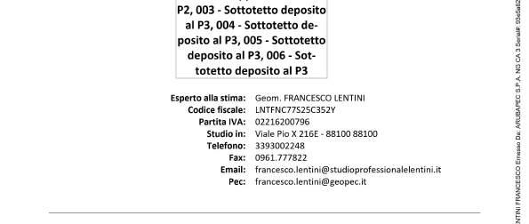 immobile magazzino all'asta in via Alessandro Manzoni - 88060 San Sostene (CZ) - 3