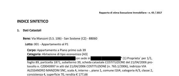 immobile magazzino all'asta in via Alessandro Manzoni - 88060 San Sostene (CZ) - 4